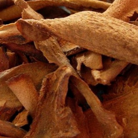Cốt Toái Bổ